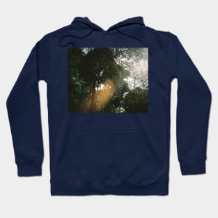 Tropical Serenity: Jungle Canopy Film Photo Print Hoodie